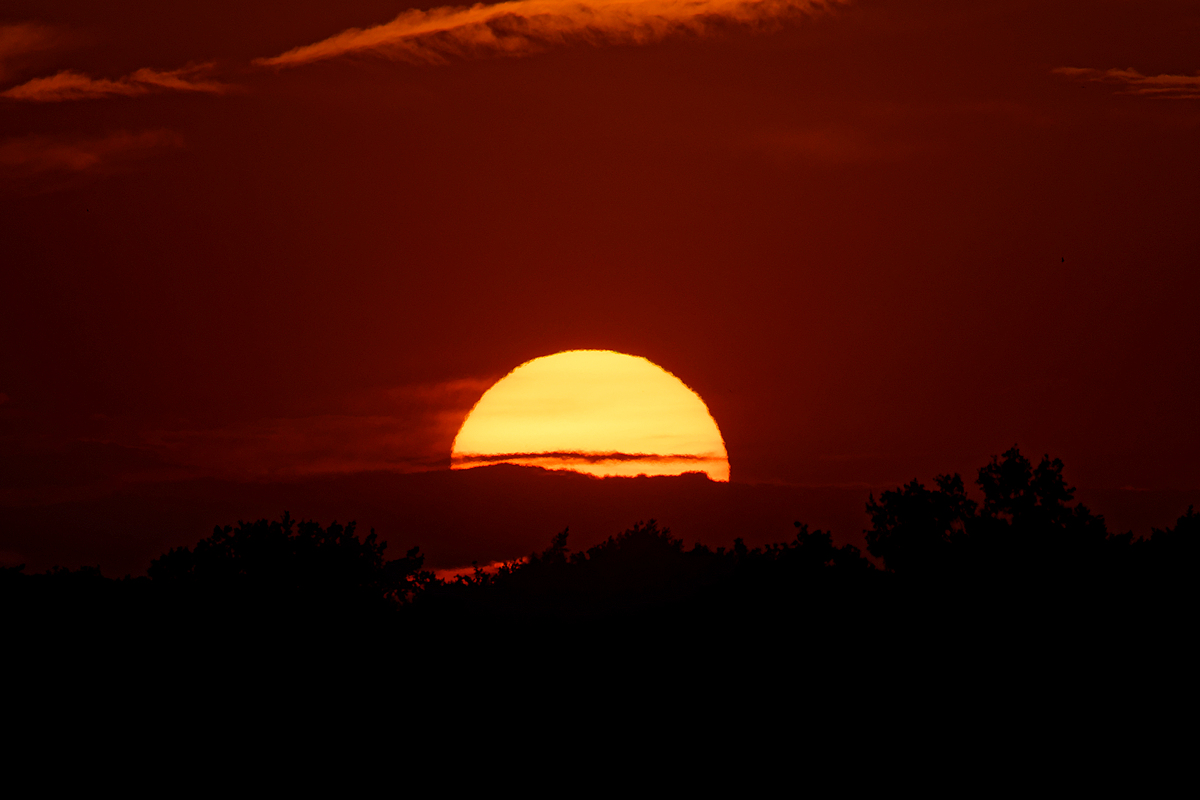 DSC 5554k