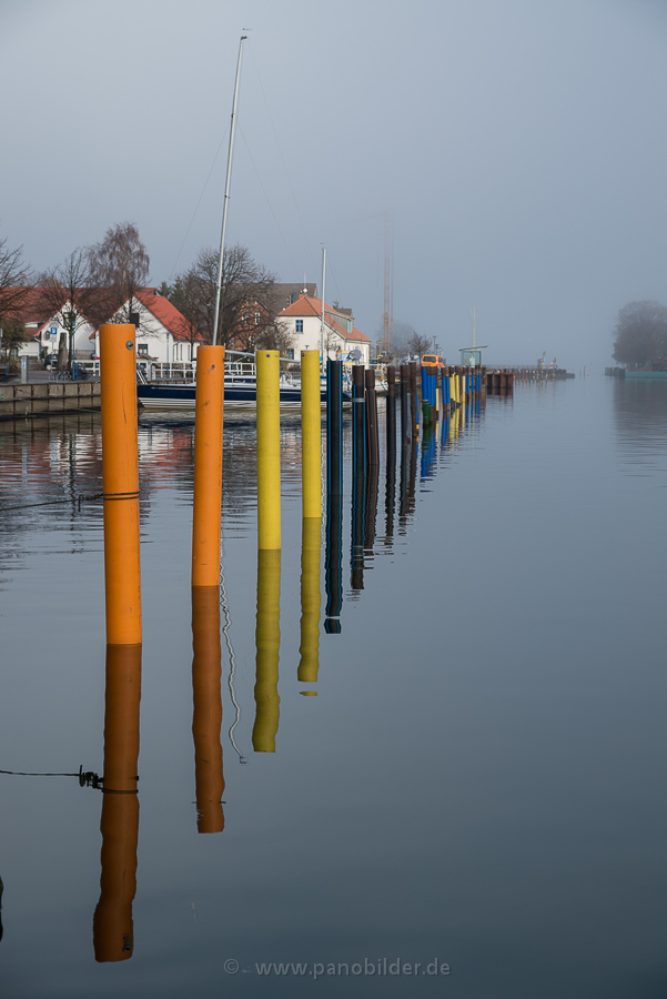 DSC 5557