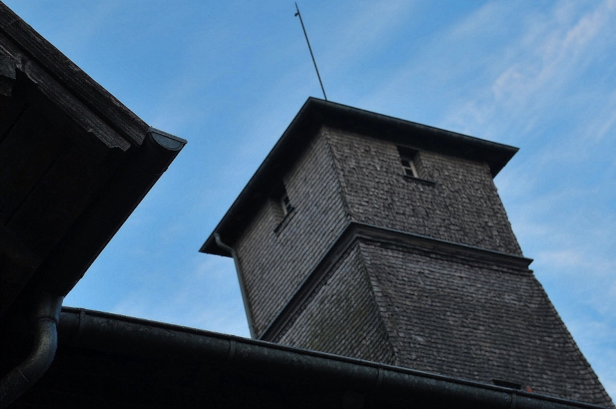 DSC 5564 web crop