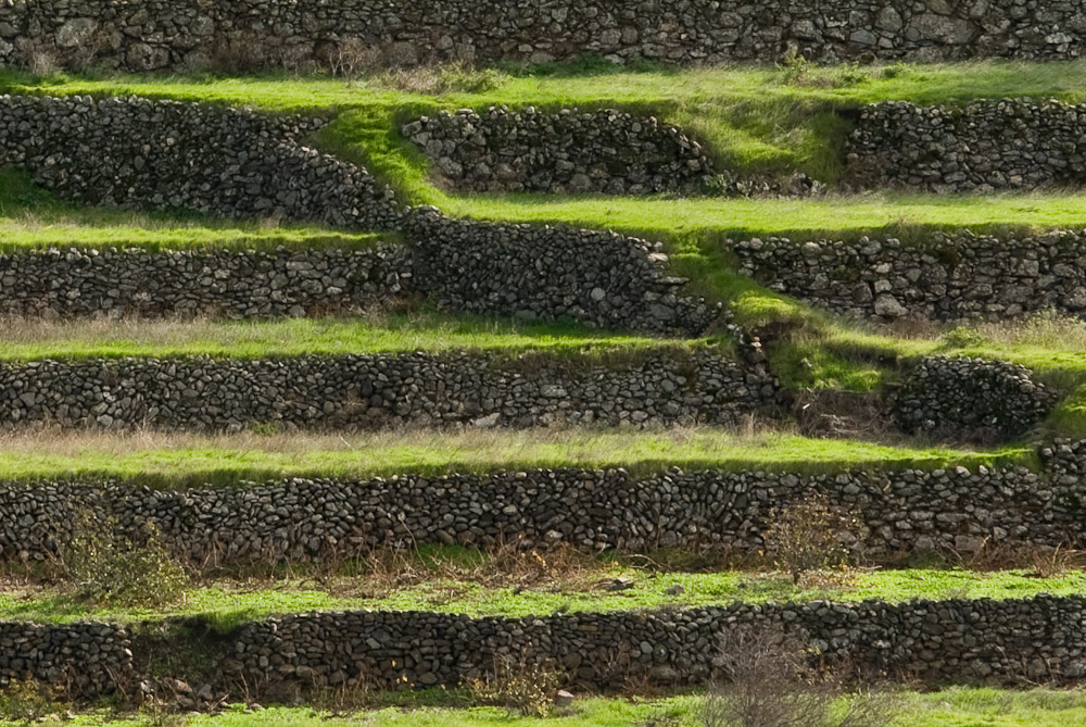 DSC 5567