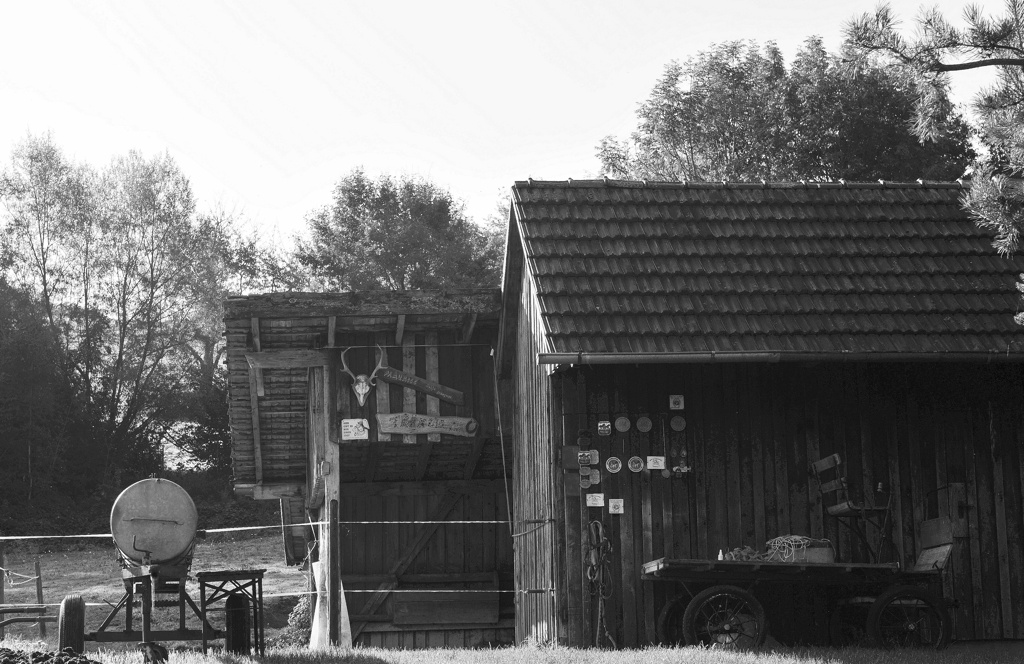 DSC 5569 web crop bw