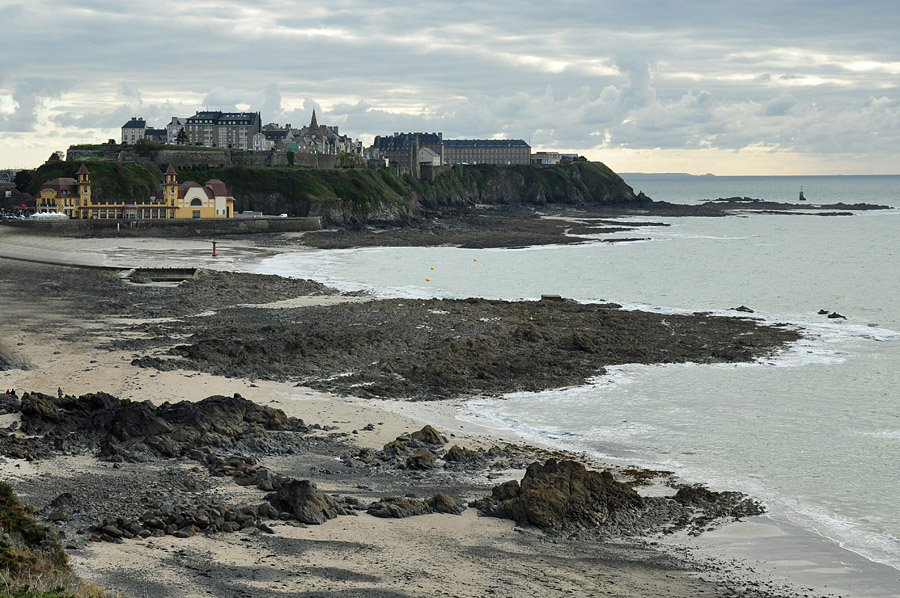 DSC 5571