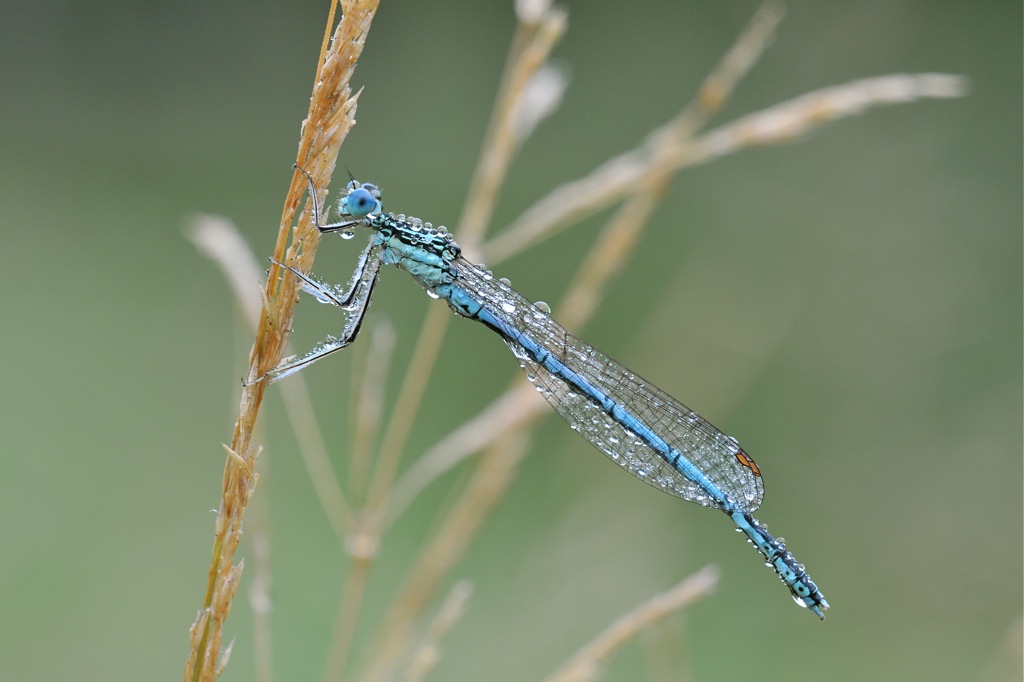 DSC 5574
