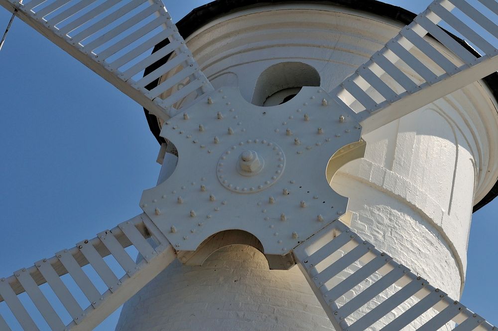 DSC 5576