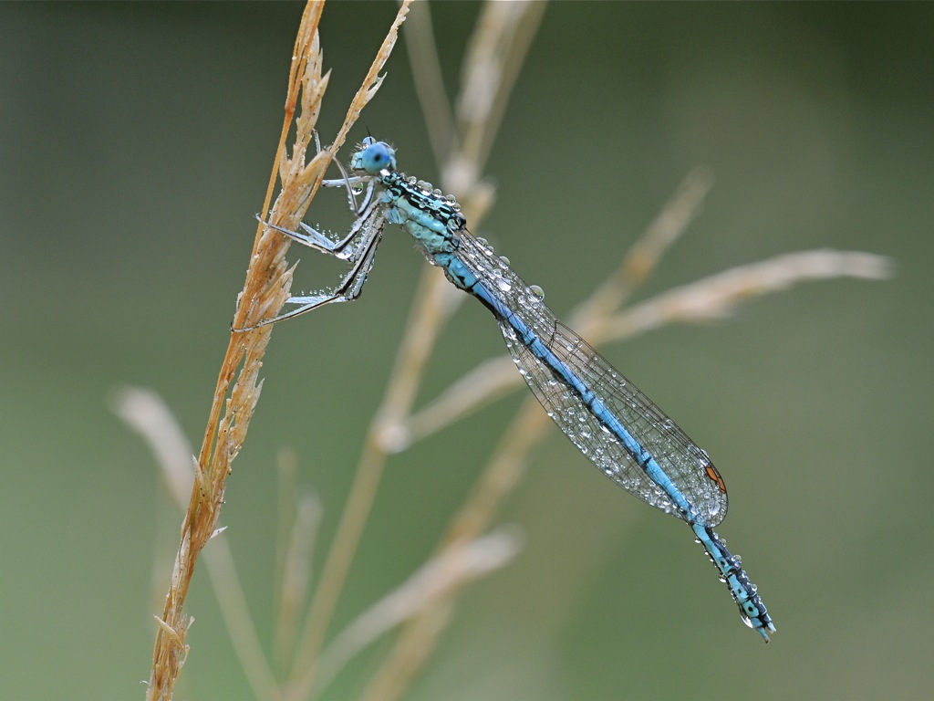 DSC 5579