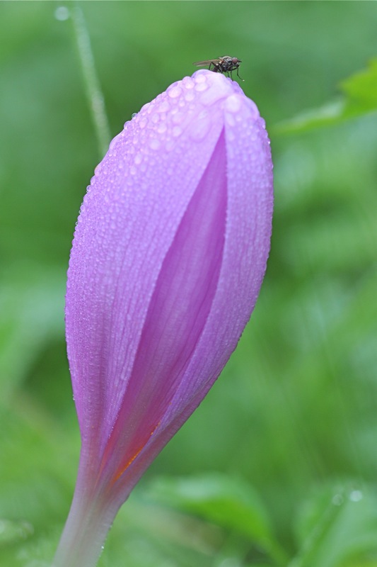 DSC 5584
