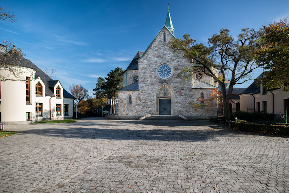 DSC 5594a