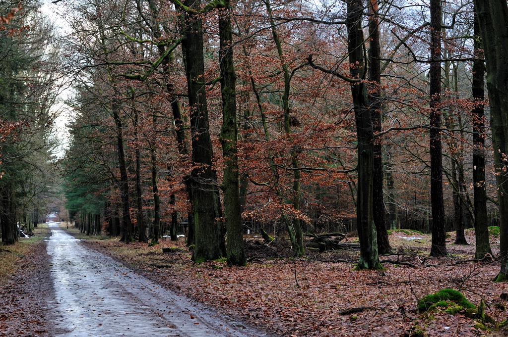 DSC 5611