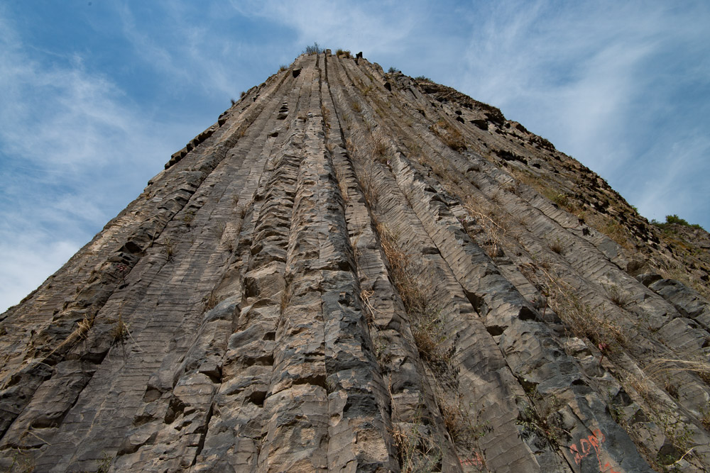 DSC 5636