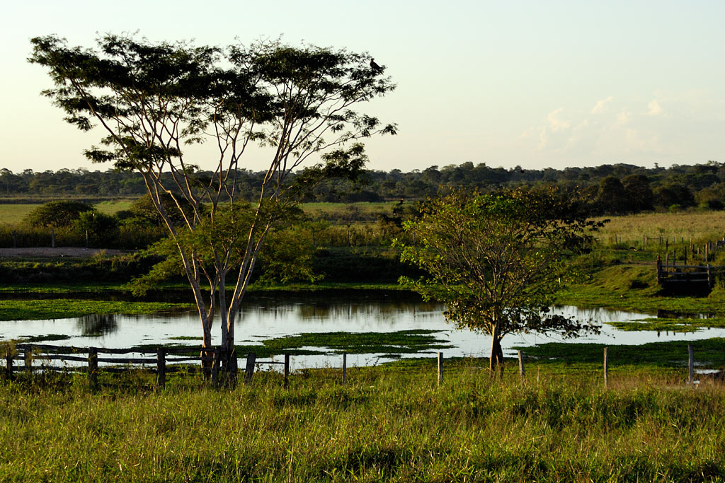 DSC 5637