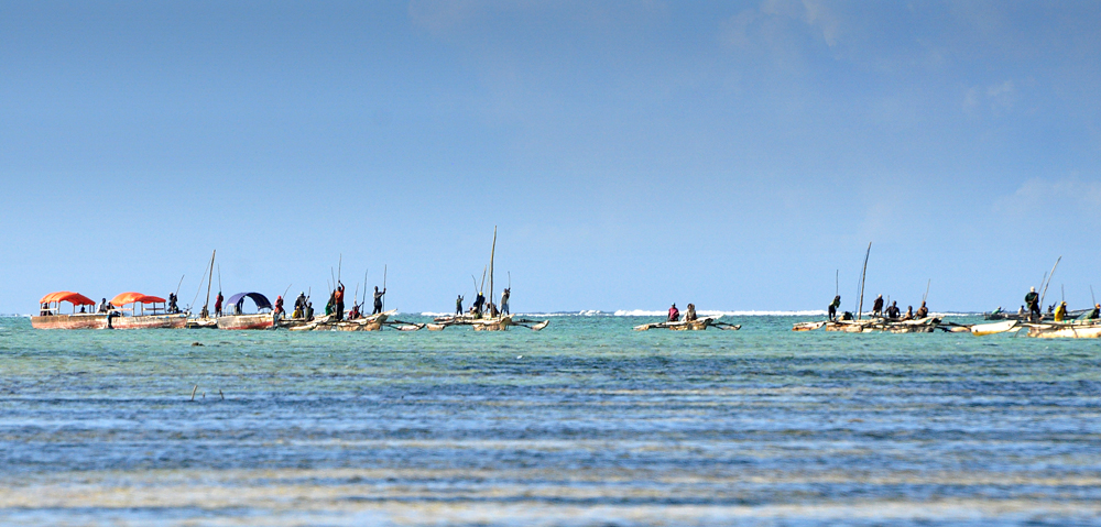 DSC 5642 1000