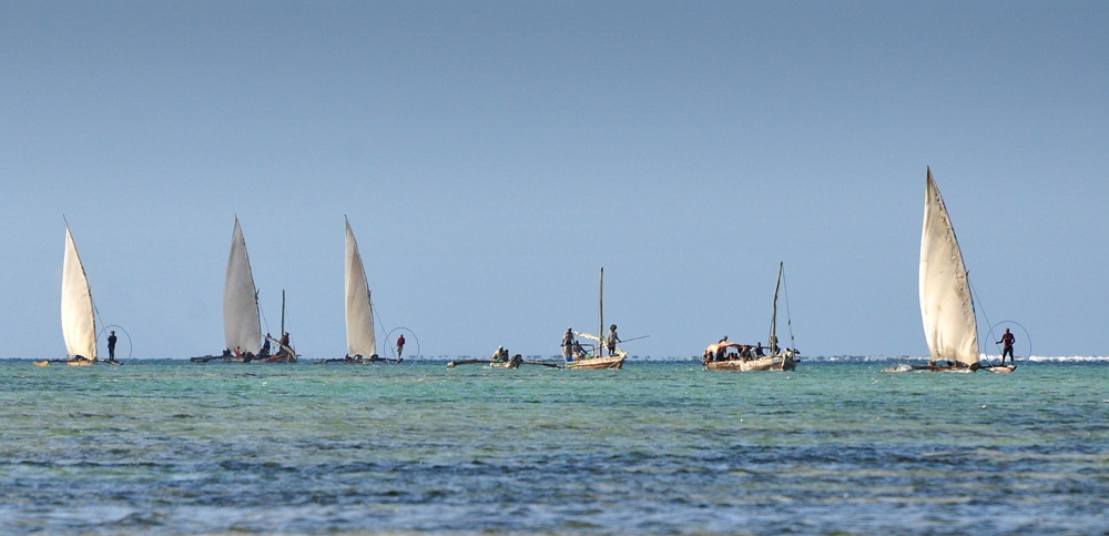 DSC 5662 1000