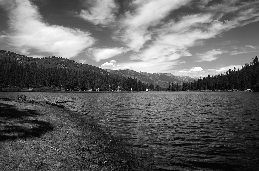 DSC 5669 Hume Lake sw 1000