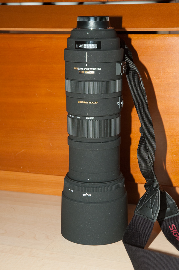 DSC 5742