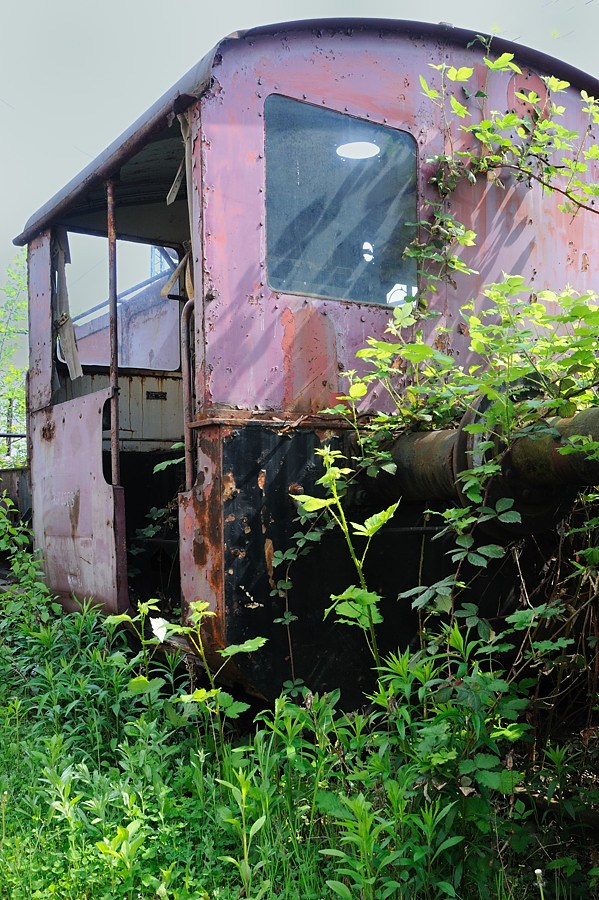 DSC 5745 900