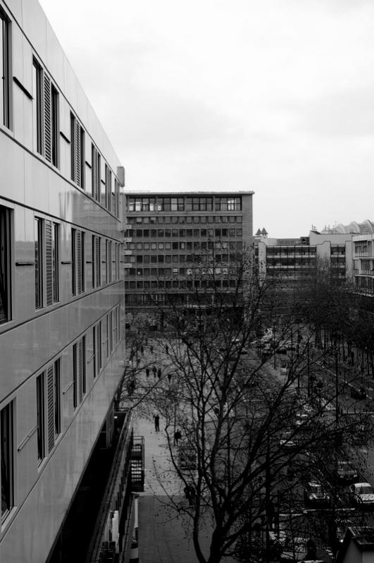 DSC 5749