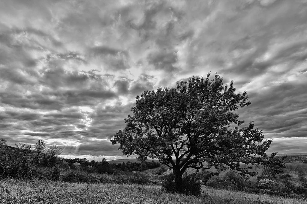 DSC 5765 3029