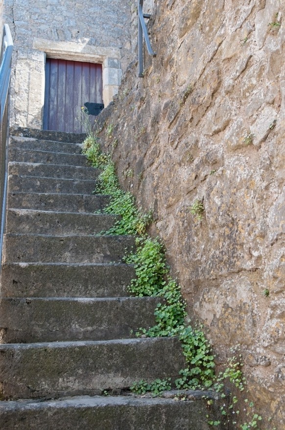 DSC 5789 01 01 02