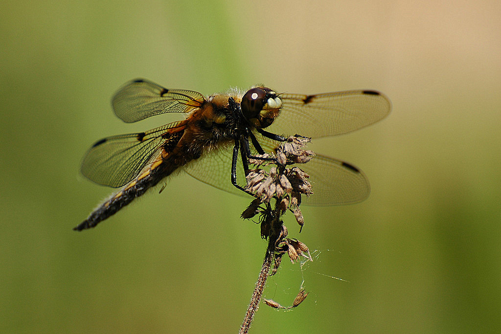 DSC 5791 1024