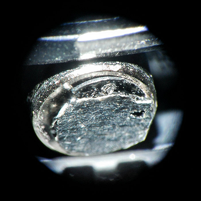DSC 5798