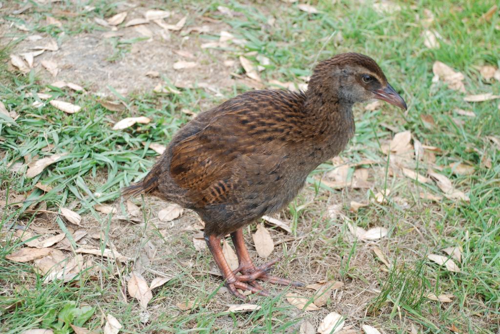 DSC 5824k