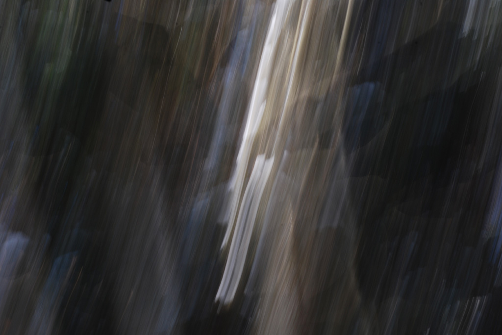 DSC 58380001 s
