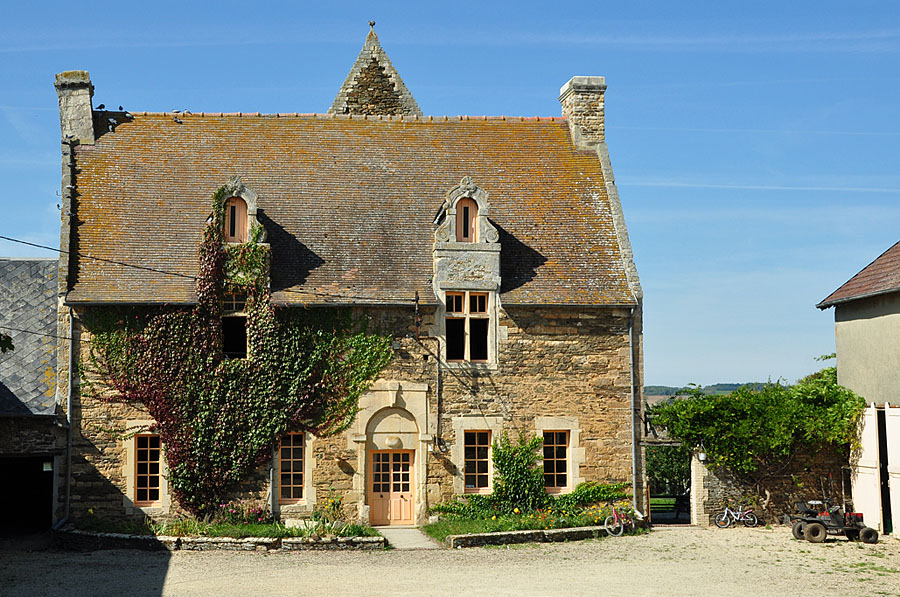 DSC 5852