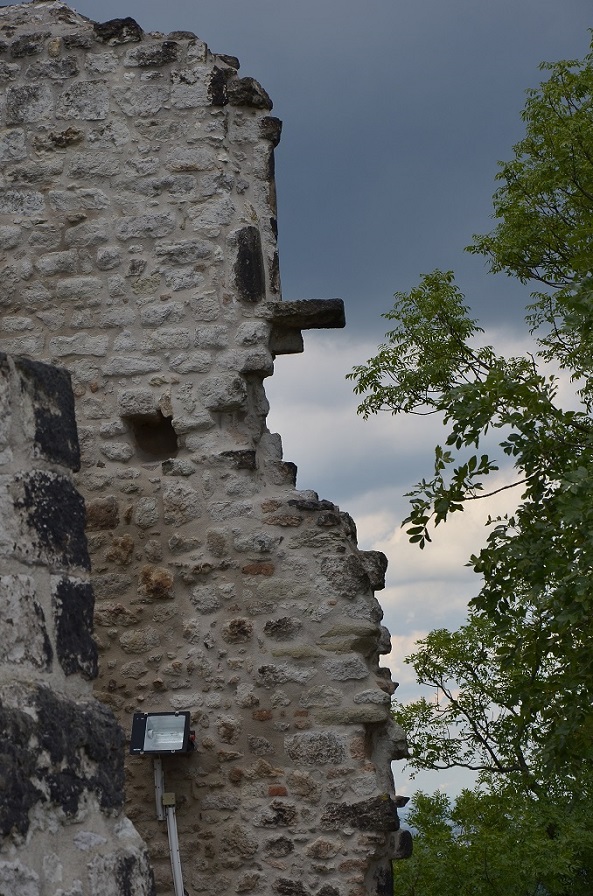 DSC 5853