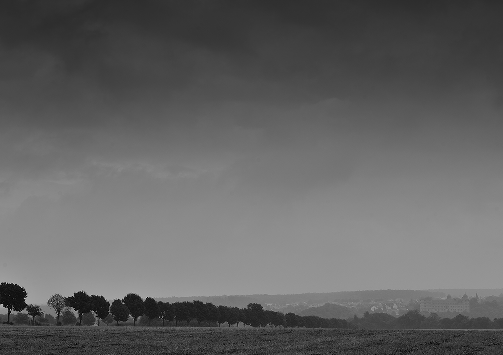 DSC 5943 2