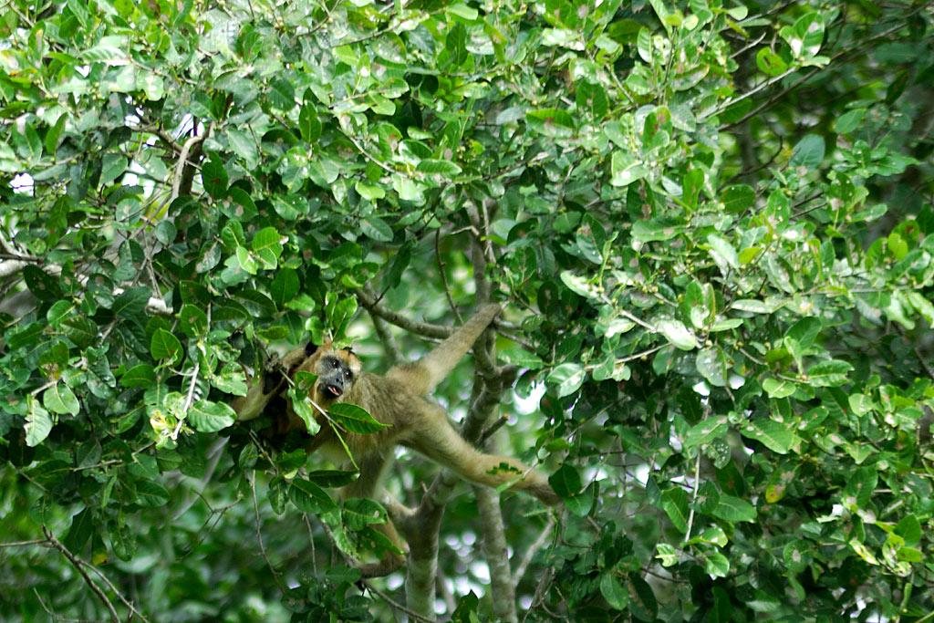 DSC 5954