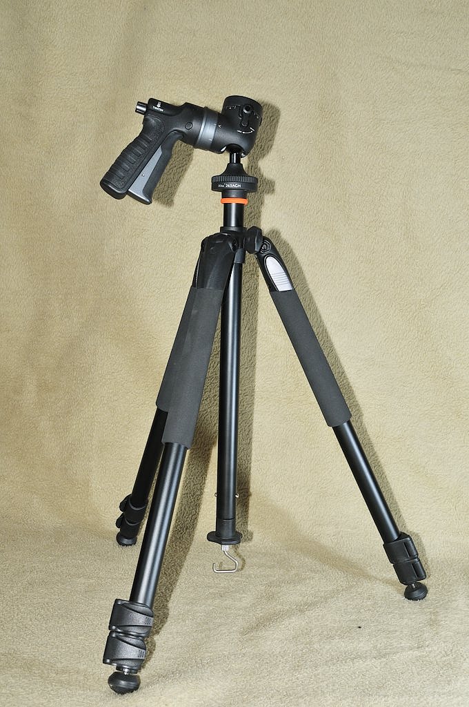 DSC 5989
