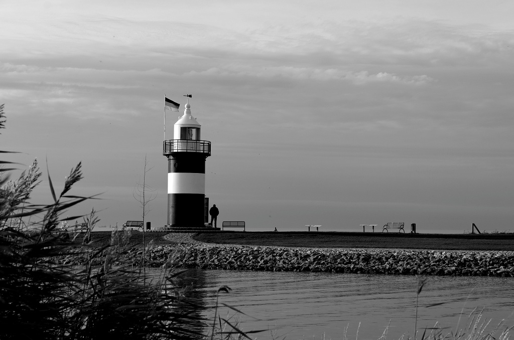 DSC 5992 DxO 2