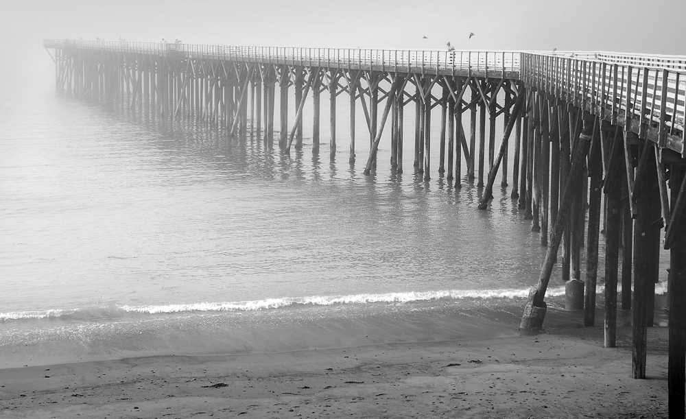 DSC 5992 Hearst Parc HWY1 sw 1000