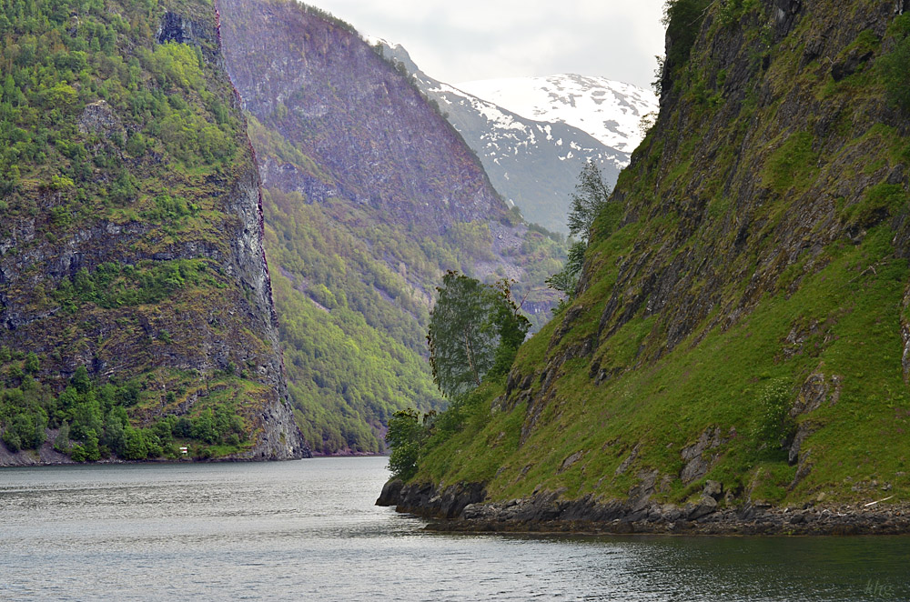 DSC 5994 Fjord