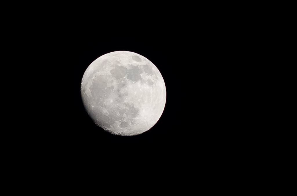 DSC 6003