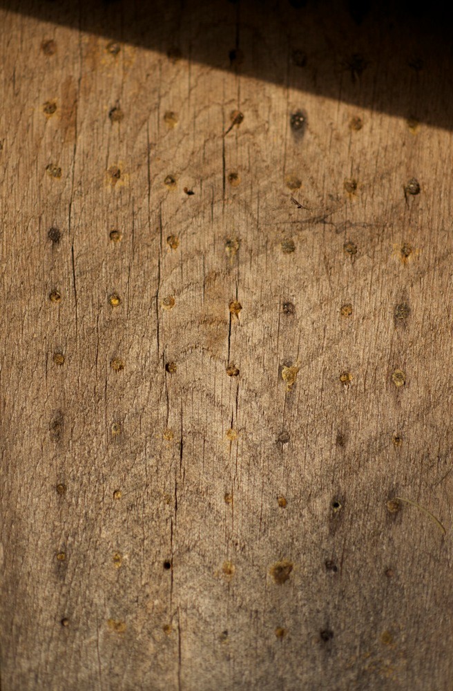 DSC 6034