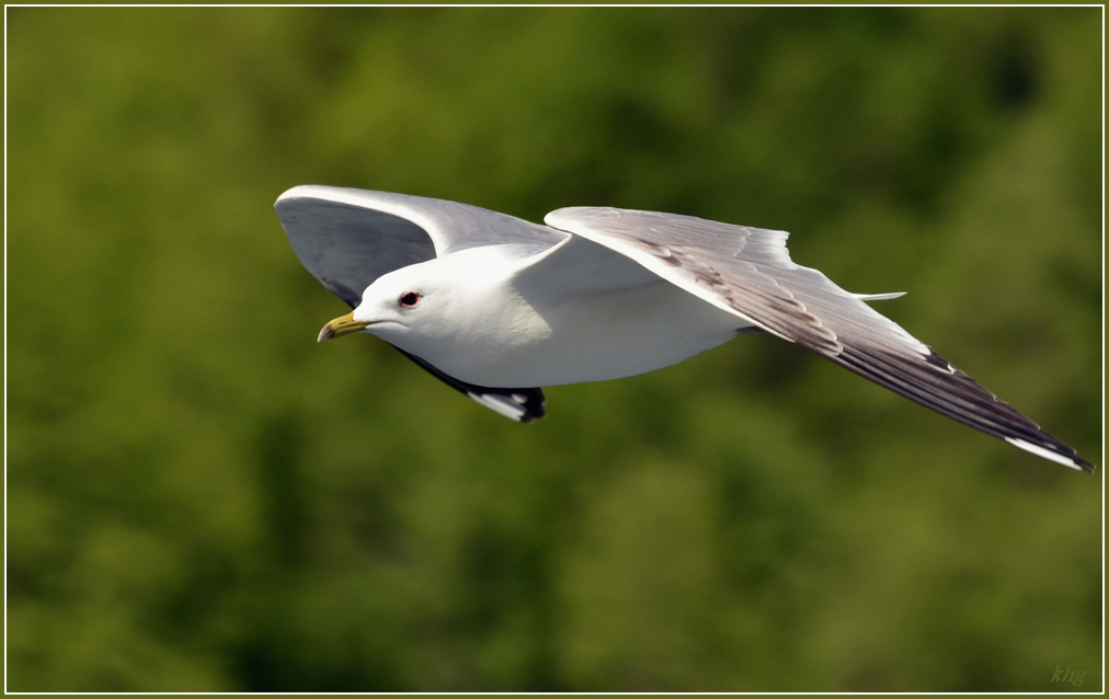 DSC 6052 r