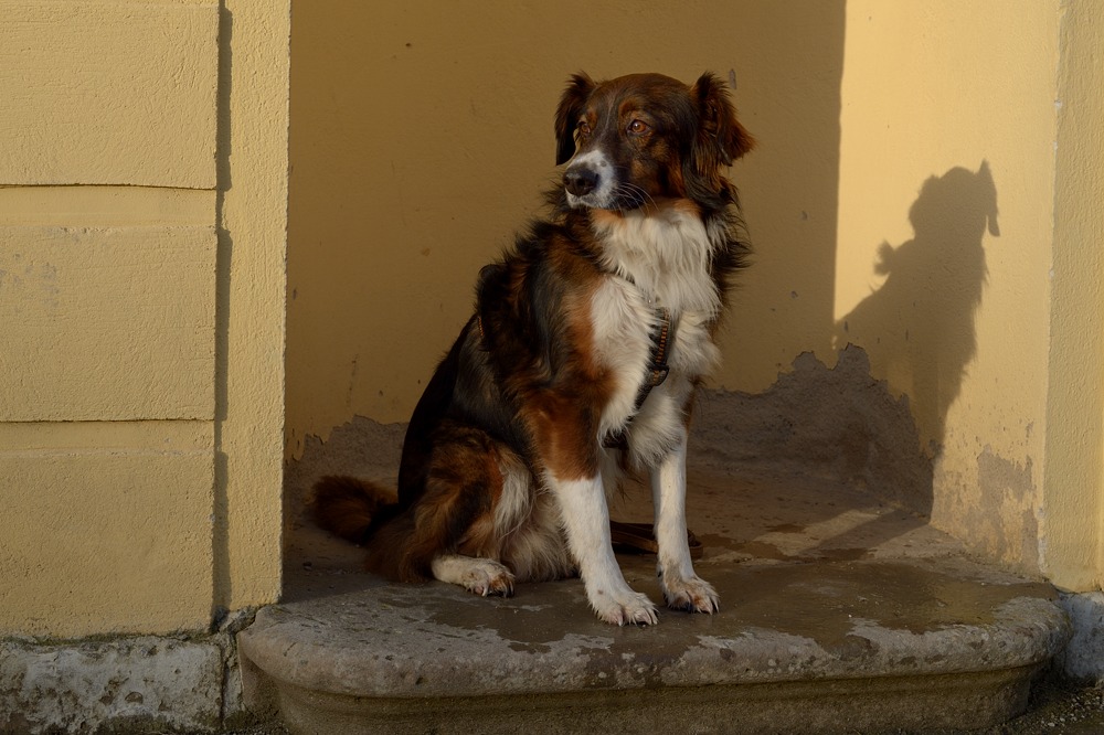 DSC 6058a