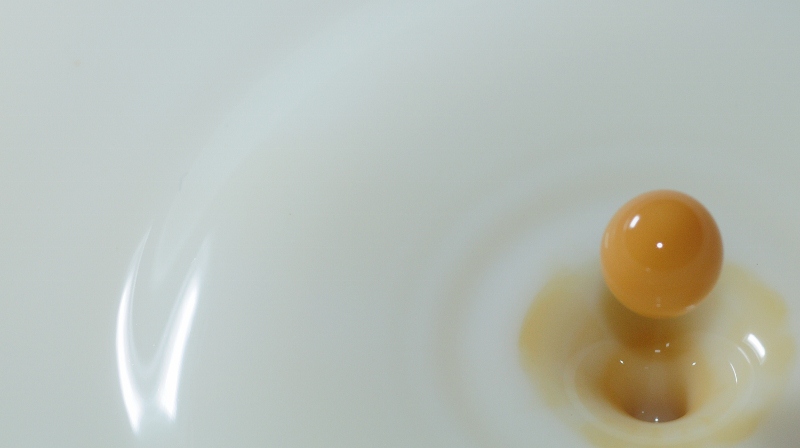 DSC 6070 229 (800x448)
