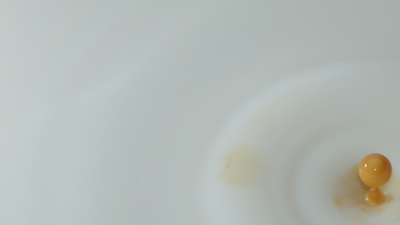 DSC 6078 230 (800x449)