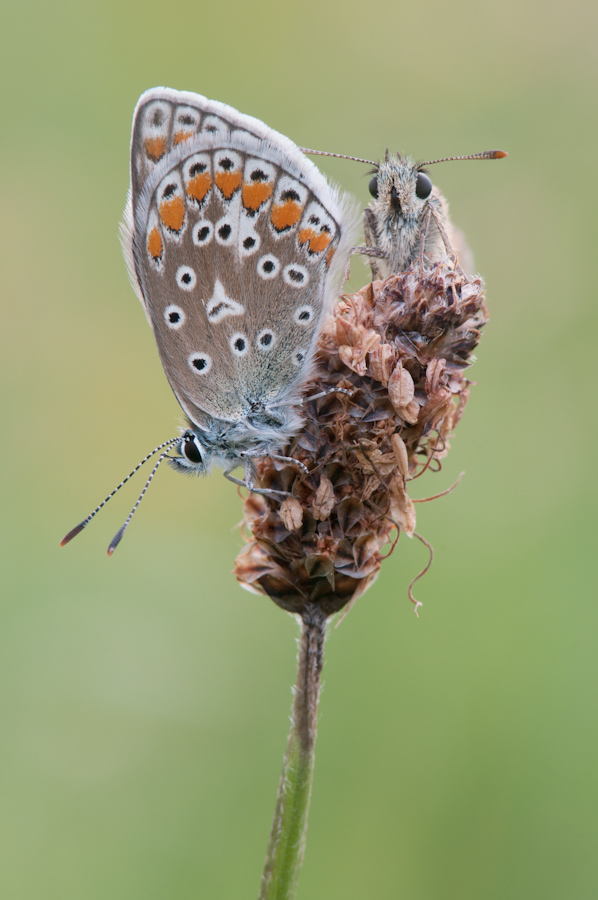 DSC 6088 Bearbeitet