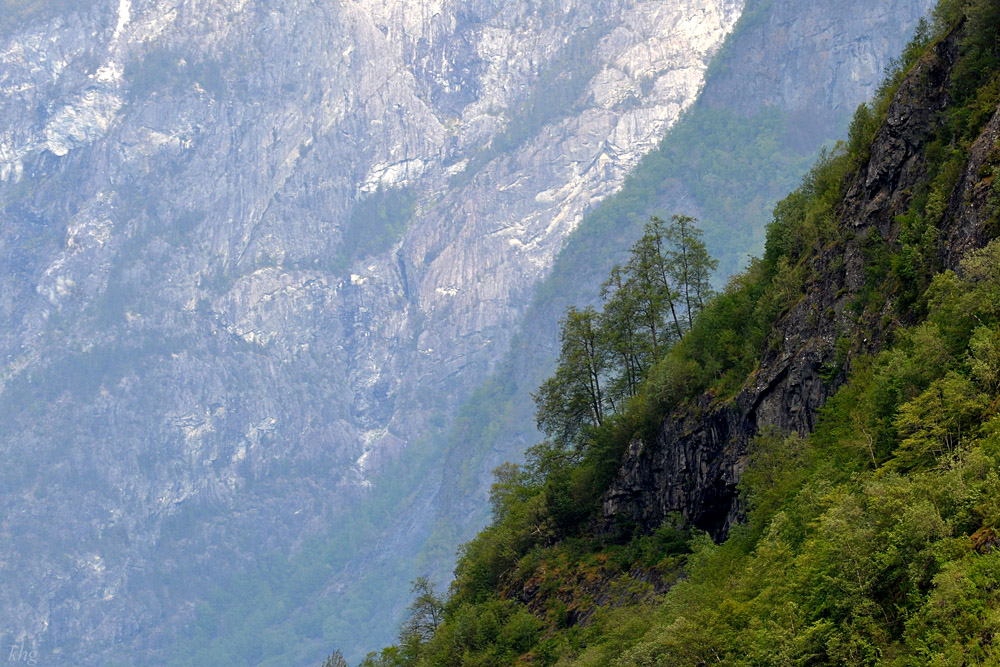 DSC 6099 Fjord
