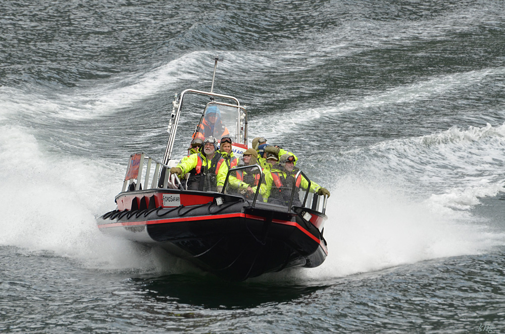 DSC 6116 Speedboat