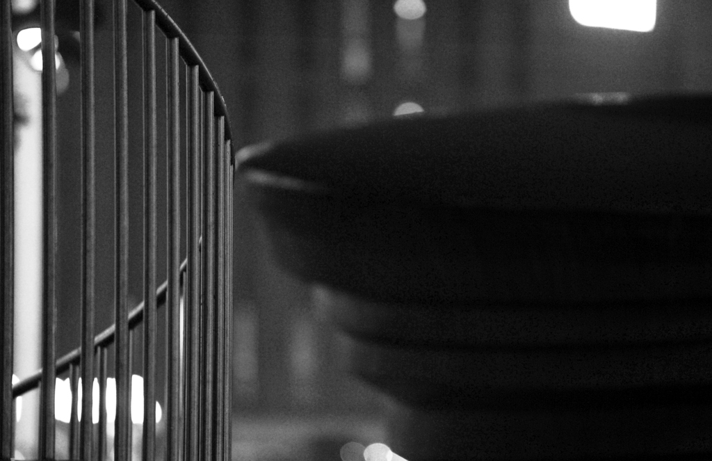 DSC 6259 web crop bw