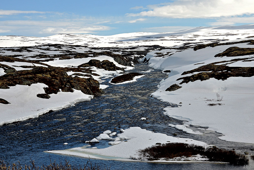 DSC 6262 Hardangervidda