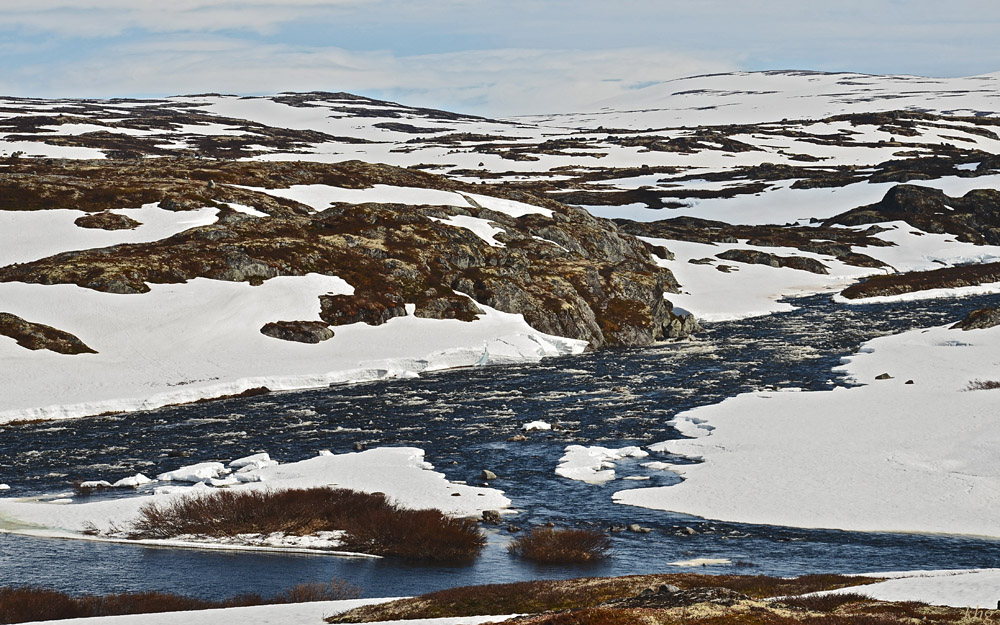 DSC 6265 Hardangervidda