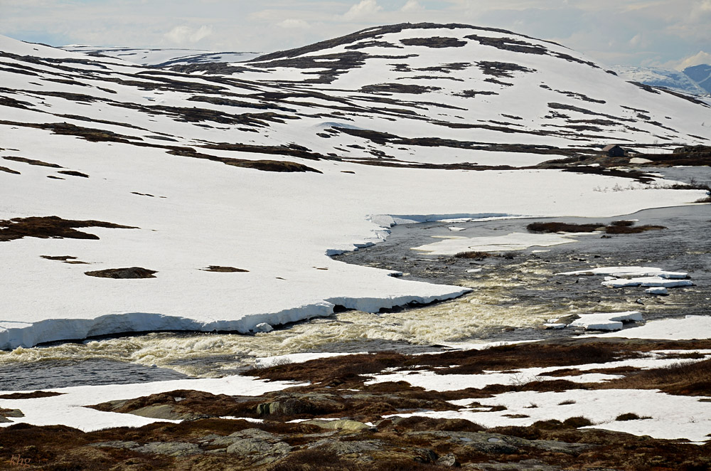 DSC 6267 Hardangervidda