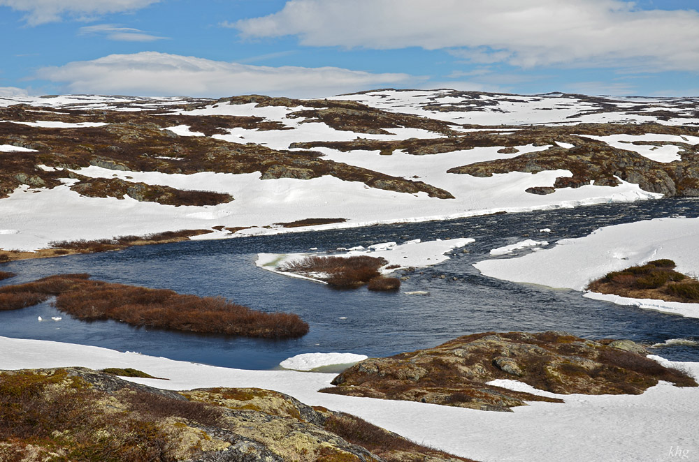 DSC 6269 Hardangervidda