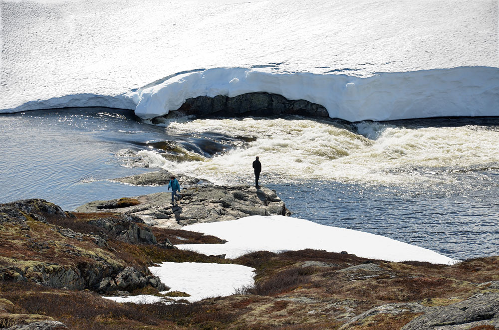 DSC 6272 Hardangervidda