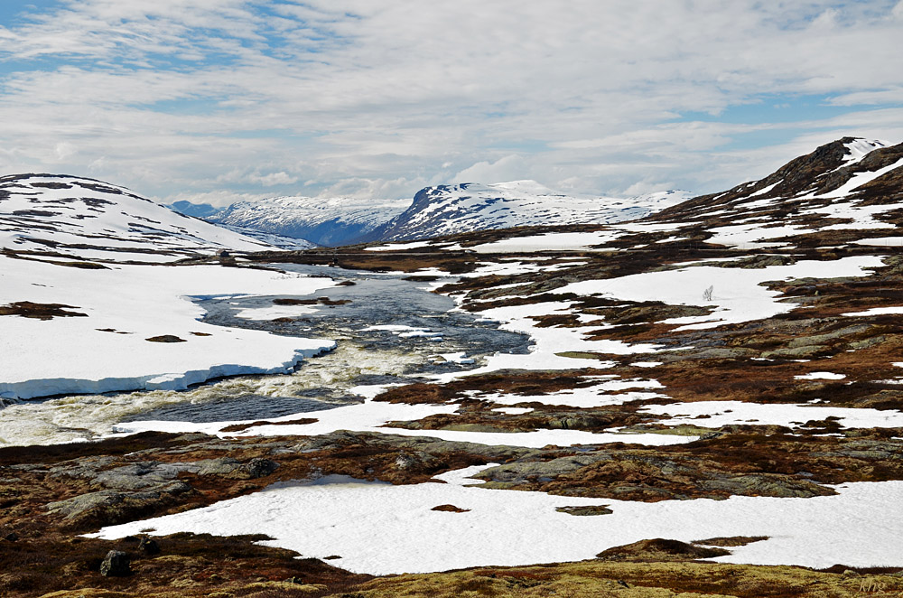 DSC 6276 Hardangervidda